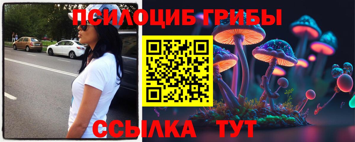 Татарск  Галлюциногенные грибы прущие грибы  Галлюциногенные грибы MAGIC MUSHROOMS  Вход с VPN 